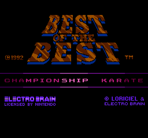 Best of the Best: Championship Karate [NES]
